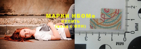 прущие грибы Семилуки