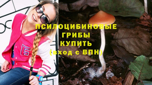 прущие грибы Семилуки
