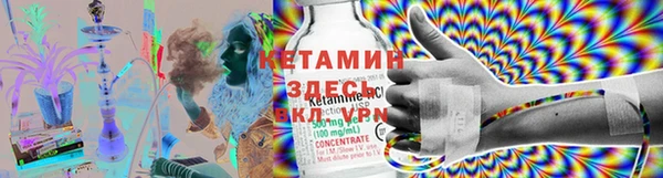 прущие грибы Семилуки