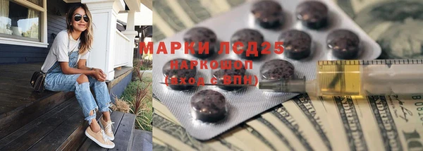 прущие грибы Семилуки