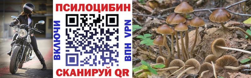 Псилоцибиновые грибы Magic Shrooms Купить где Нерехта