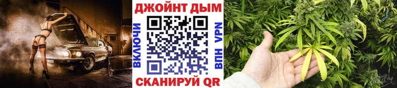 Купить где  Нерехта  Канабис сатива 